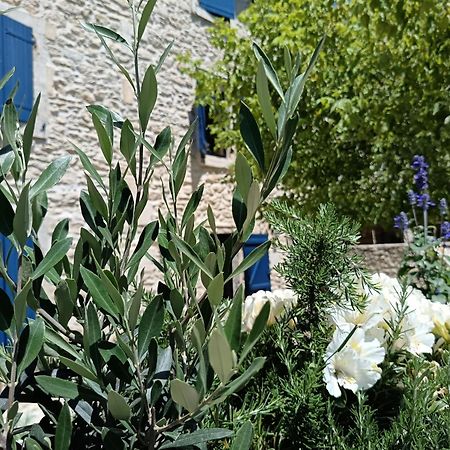 Saint-Rémy-de-Provence Namaste Home, Votre Havre De Paix A St Remy ! Parking Wifi Inclus מראה חיצוני תמונה