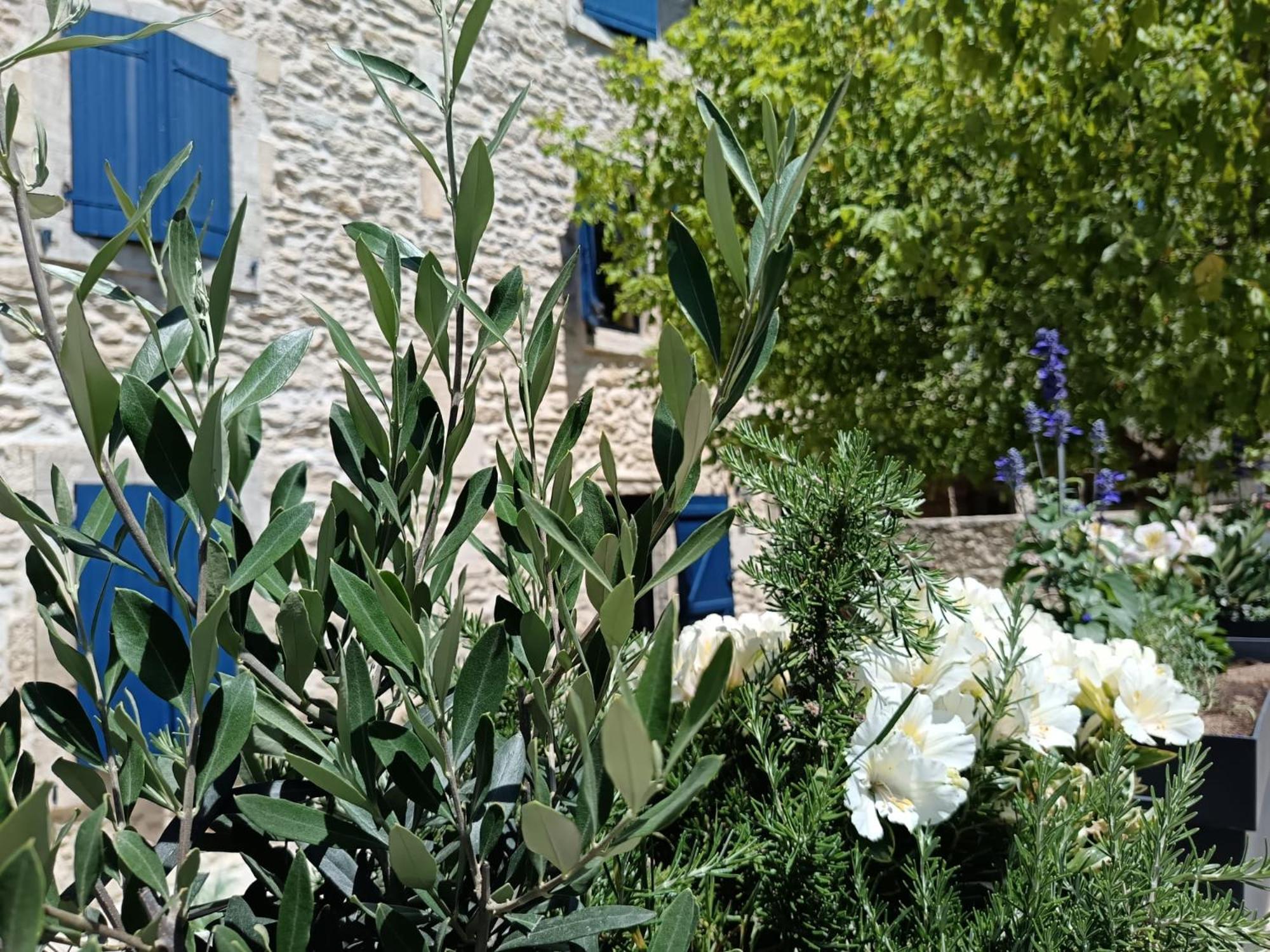 Saint-Rémy-de-Provence Namaste Home, Votre Havre De Paix A St Remy ! Parking Wifi Inclus מראה חיצוני תמונה